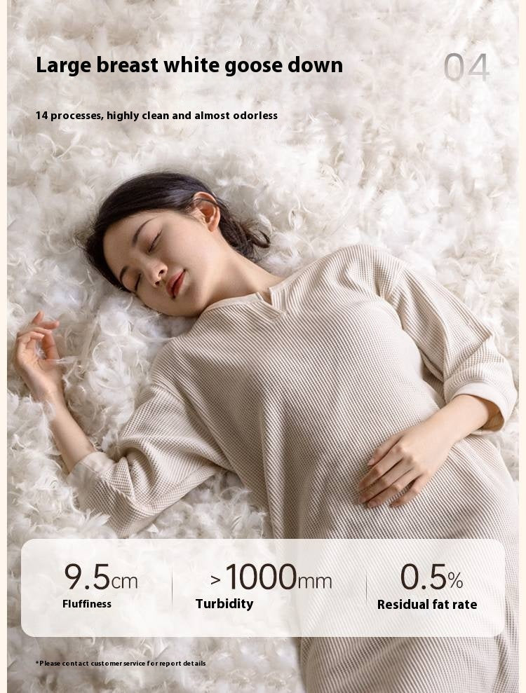 Pine Modern Style High Back Sofa